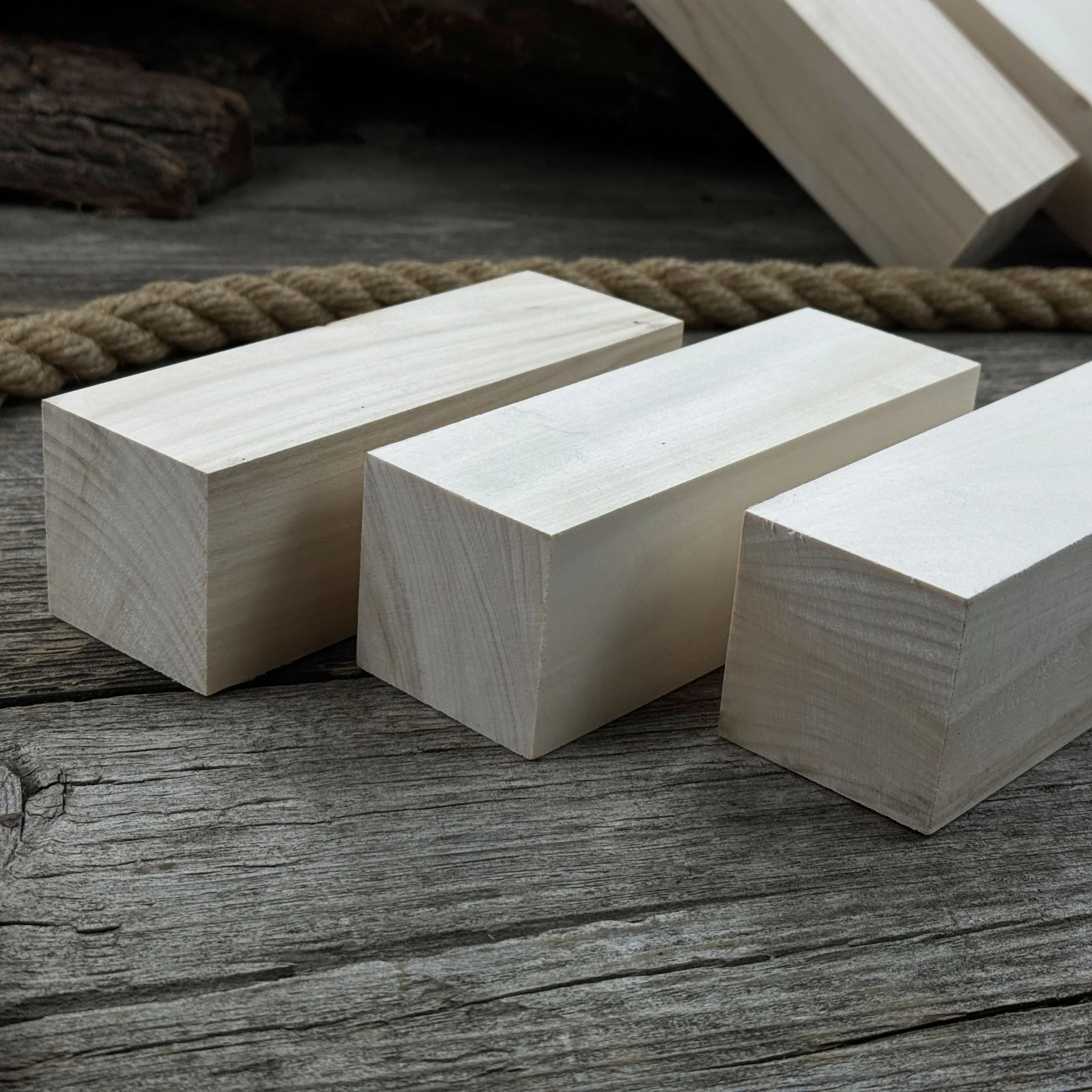 Set of 6 Large Linden Wood Carving Blanks - Image 5